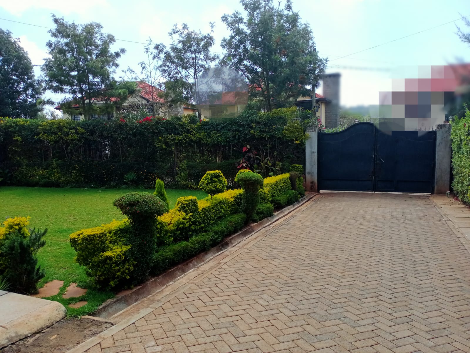 2A09DEAD-4517-49EE-91AD-B58C3DF637AE