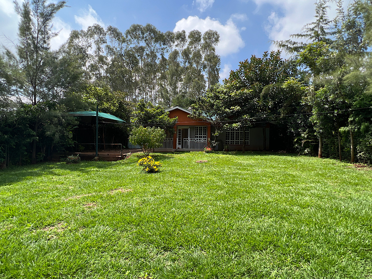 98AEC0E1-E5FA-4269-A6BE-83710679C433